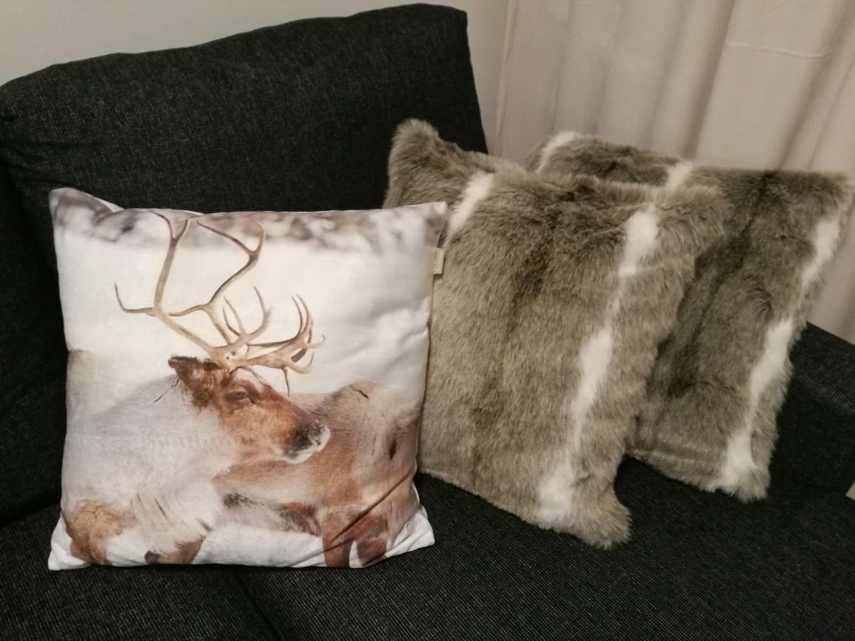 Rovavisit Apartments Siljo Rovaniemi Dış mekan fotoğraf