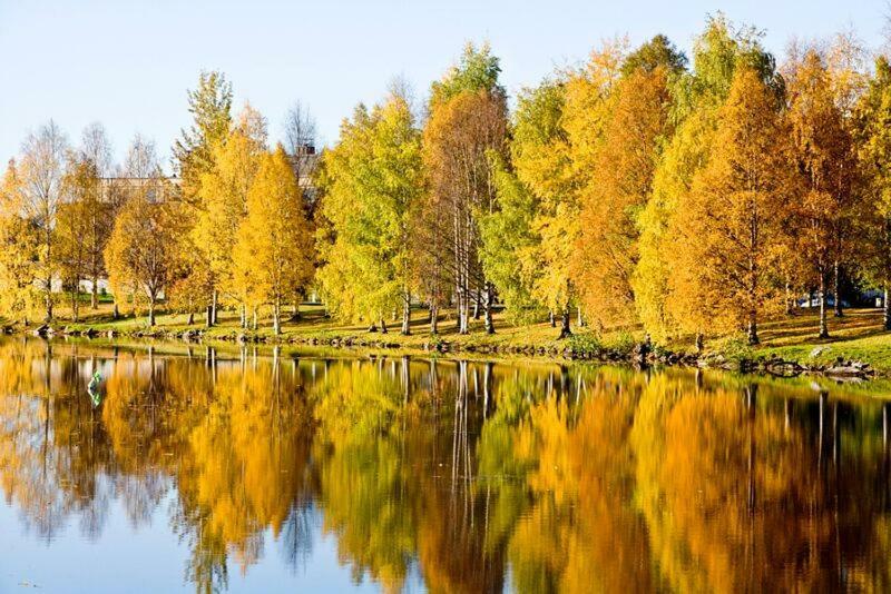 Rovavisit Apartments Siljo Rovaniemi Dış mekan fotoğraf