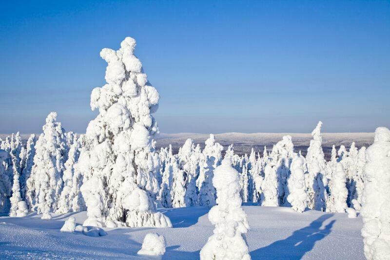 Rovavisit Apartments Siljo Rovaniemi Dış mekan fotoğraf