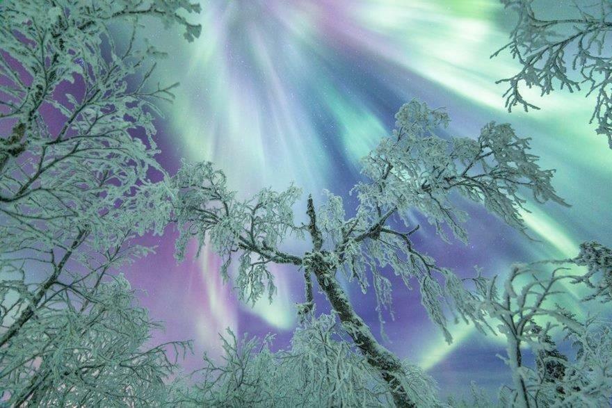 Rovavisit Apartments Siljo Rovaniemi Dış mekan fotoğraf